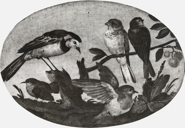 Liverani, Giorgio — Anonimo emiliano sec. XVII/ XVIII - Uccelli — insieme